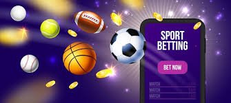 312bet1